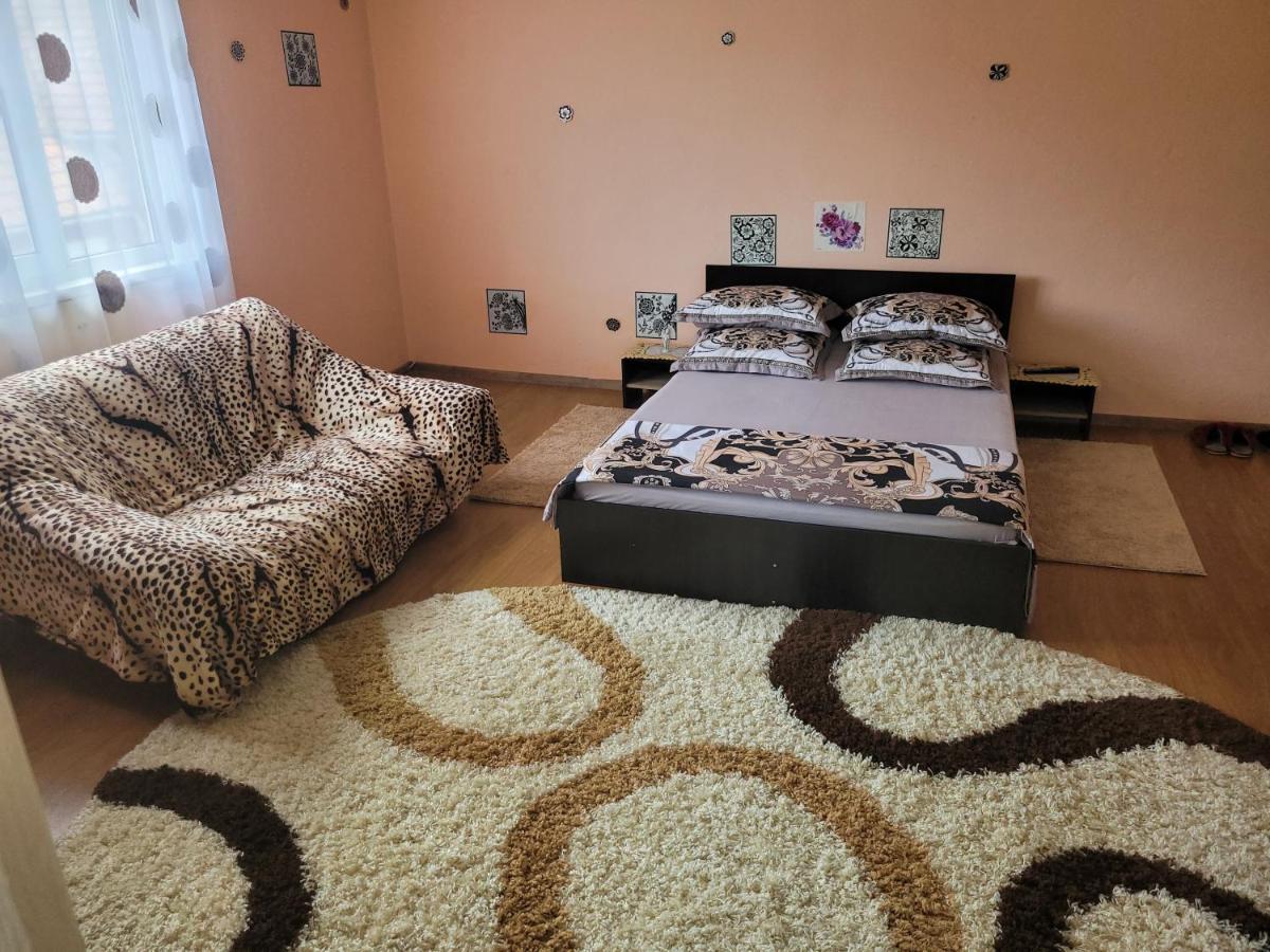 Vila La Izvorul Putinei Haţeg Εξωτερικό φωτογραφία