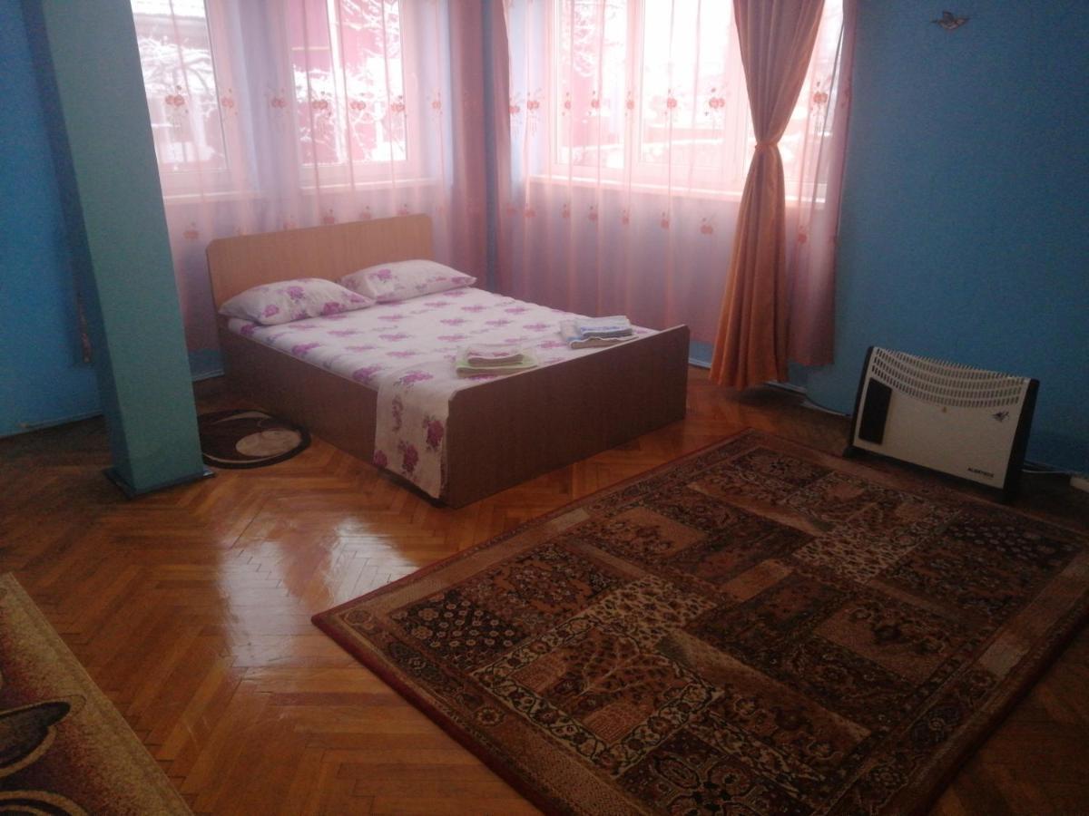 Vila La Izvorul Putinei Haţeg Εξωτερικό φωτογραφία